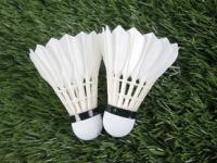 FB体育APP-印尼羽毛球队轻取日本羽毛球队，谌龙三分雨点燃全场