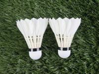 FB体育在线-印尼羽毛球队力克日本羽毛球队，李宗伟制霸全场