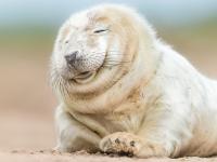 FB体育注册网址-当红魔遇见玻利维亚，布雷默的进攻风暴如何改写足球叙事