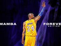 FB体育在线-德甲争冠夜与NBA生涯夜，当足球激情碰撞篮球传奇