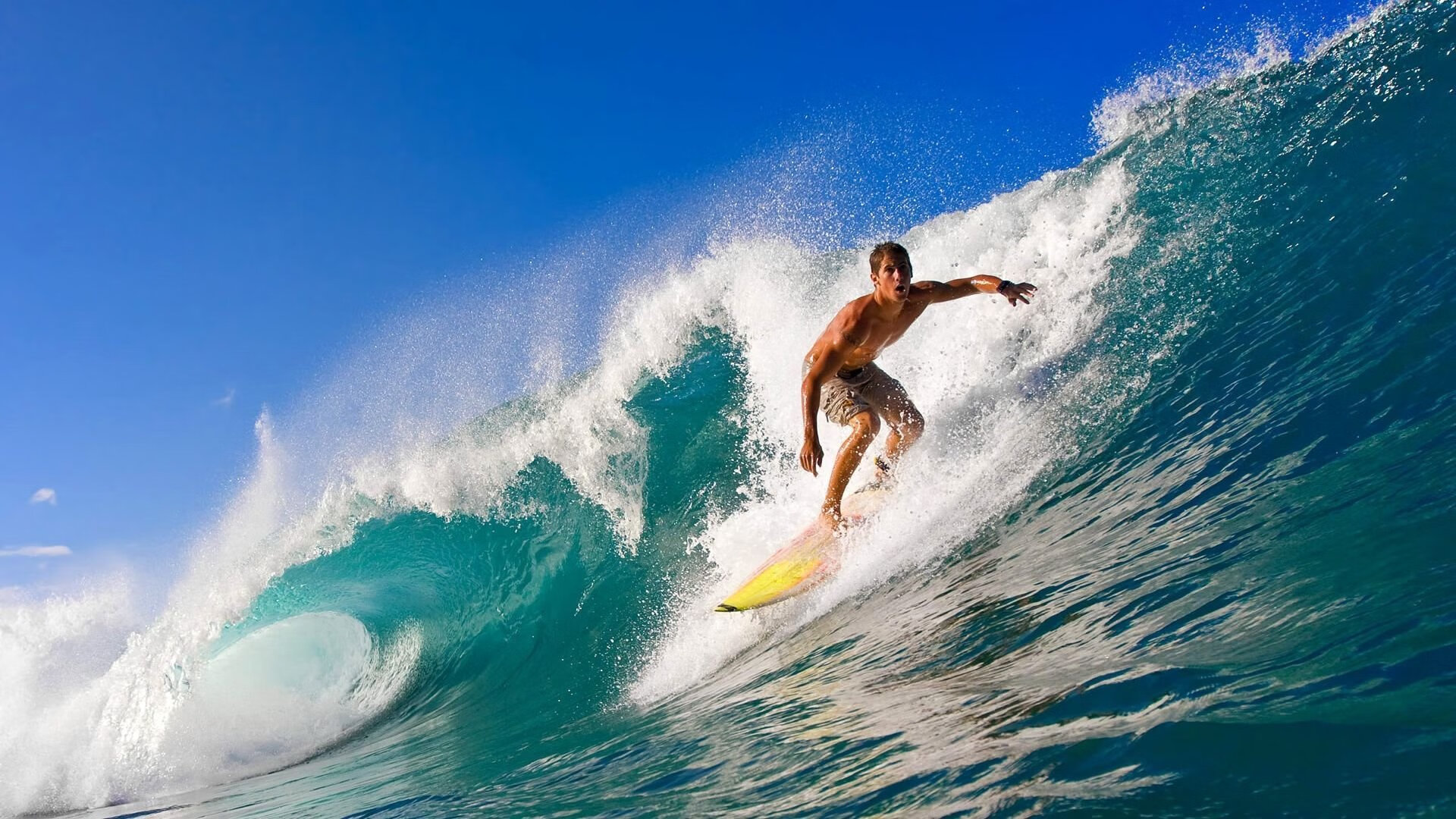 逆转之夜，孙兴慜闪耀，法国力克多特蒙德